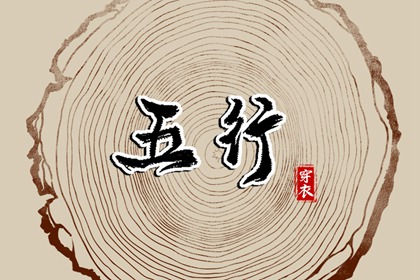 解析命盘,男女命盘,八字本命盘,元亨紫微排盘系统,紫微星算命八字,紫微命格详批